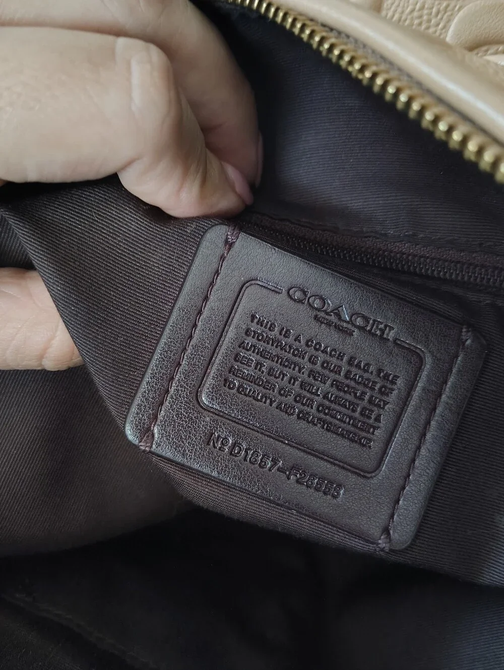 Coach Embossed Signature Ava Tote Bag In Nude